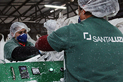 producao_santa.jpg