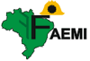logo_faemi