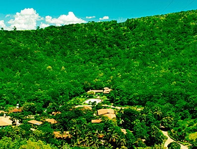 omega-instituto-terra.jpg